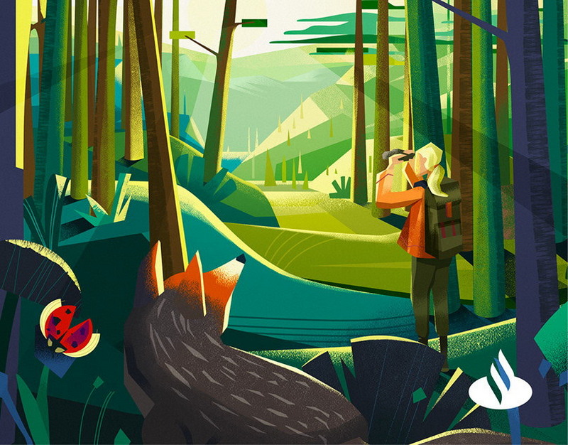 Вышел Firefox 150 с улучшениями функции Разделение экрана и другими изменениями